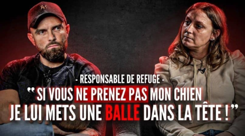 Balles dans la tête, noyades, menaces de mort : le quotidien d’une responsable de refuge