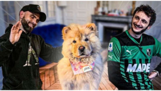 L'éducateur canin Tony Silvestre donne des conseils à Maxime Biaggi pour éduquer son chiot Chow-chow