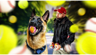 L'éducateur canin Tony Silvestre éduque un chien Malinois obsédé par les balles