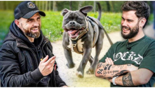 L'éducateur canin Tony Silvestre donne des conseils au Bouseuh pour éduquer son chiot Bully