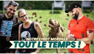 L'éducateur canin Tony Silvestre à côté d'un chiot Labrador couché dans l'herbe dans un jardin avec ses maîtres