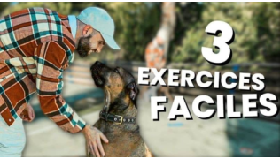 L'éducateur canin Tony Silvestre montre trois exercices faciles avec Reya, chienne Cane Corso