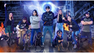 Comment évaluer l’intelligence du chien au quotidien ?