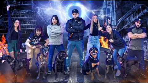 Comment évaluer l’intelligence du chien au quotidien ?