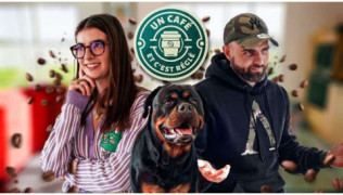 Mon chien n’a aucune patience : comment retrouver le calme ?