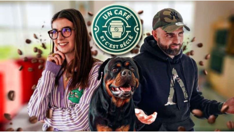 Mon chien n’a aucune patience : comment retrouver le calme ?