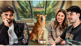 Mon Shiba a un problème avec la nourriture : comment apaiser un chien à l’heure du repas ?