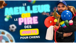 Quels sont les meilleurs et les pires jouets pour chien ?