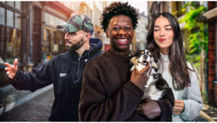 SOS mon chiot est peureux : et s’il était simplement timide ?