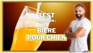 Test de la bière pour chien