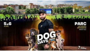 Massy Dog Days le 1er événement Esprit Dog gratuit en Île-de-France !
