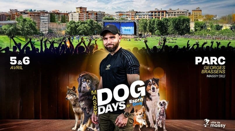 Massy Dog Days le 1er événement Esprit Dog gratuit en Île-de-France !