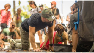La Méthode Esprit Dog : L’Éducation Canine Positive pour (enfin) Kiffer avec son Chien
