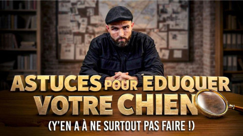 Astuces pour l’éducation d’un chien : attention aux conseils qui font plus de dégâts que de progrès