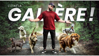 Balade avec 5 chiens : pourquoi cette sortie a viré au cauchemar ?