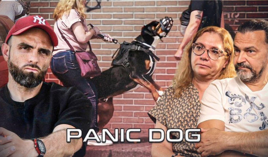 L'éducateur canin Tony Silvestre aide un couple et leur chien Grand Bouvier Suisse agressif humain en train d'attaquer