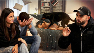 SOS : mes deux chiens se « bagarrent » tout le temps… et rien ne s’est passé comme prévu