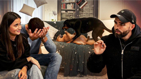 SOS : mes deux chiens se « bagarrent » tout le temps… et rien ne s’est passé comme prévu