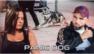 L'éducateur canin Tony Silvestre à côté d'une maîtresse et de son chiot Pomsky traumatisé et peureux