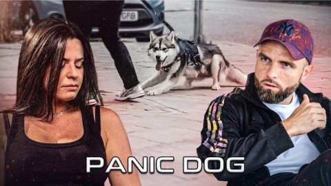 Comment aider Maïko, un chiot traumatisé, à sortir de ses peurs ?