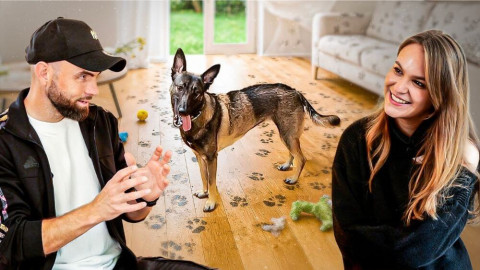 Comment calmer un Malinois ?
