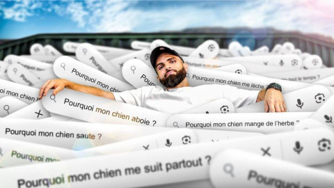 Pourquoi mon chien fait ça ? Les vraies réponses aux questions que tout le monde se pose