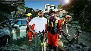 Sauver ou mourir : à quoi ressemble la vie des chiens de pompiers ?