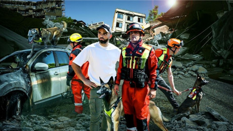 Sauver ou mourir : à quoi ressemble la vie des chiens de pompiers ?