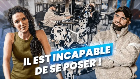 Mon chien ne sait pas se poser : comment aider un dalmatien à enfin se détendre