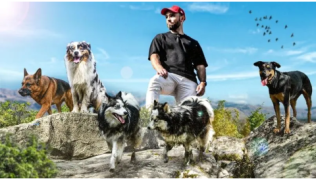 Je m’incruste en balade avec 5 chiens : ce qu’une balade collective révèle vraiment