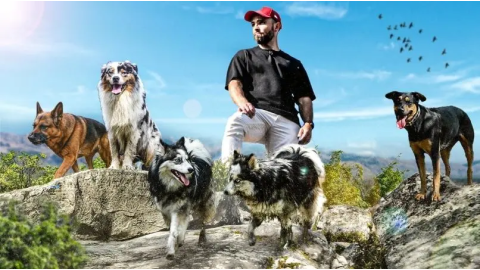 Je m’incruste en balade avec 5 chiens : ce qu’une balade collective révèle vraiment