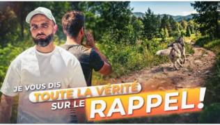 Tout pour avoir un bon rappel avec son chien