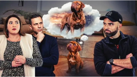 Un Dogue de Bordeaux en premier chien ? Non, ils ne sont pas fous