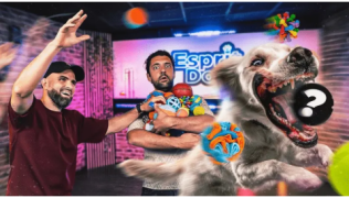 On a acheté toutes les balles pour chien qui existent ! La meilleure, c’est…