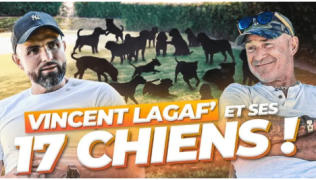 La folle vie de Vincent Lagaf’ et ses 17 chiens