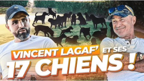 La folle vie de Vincent Lagaf’ et ses 17 chiens