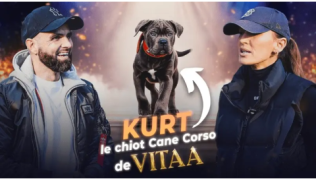 Je ne veux pas faire de bêtises avec mon Cane Corso