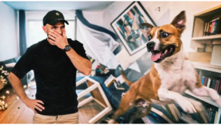 Destruction, hyper-attachement : mon chien est une tornade, que faire ?