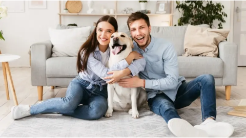 Chien ou conjoint(e) : qui passe vraiment en premier ?
