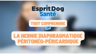 La hernie diaphragmatique péritonéo-péricardique