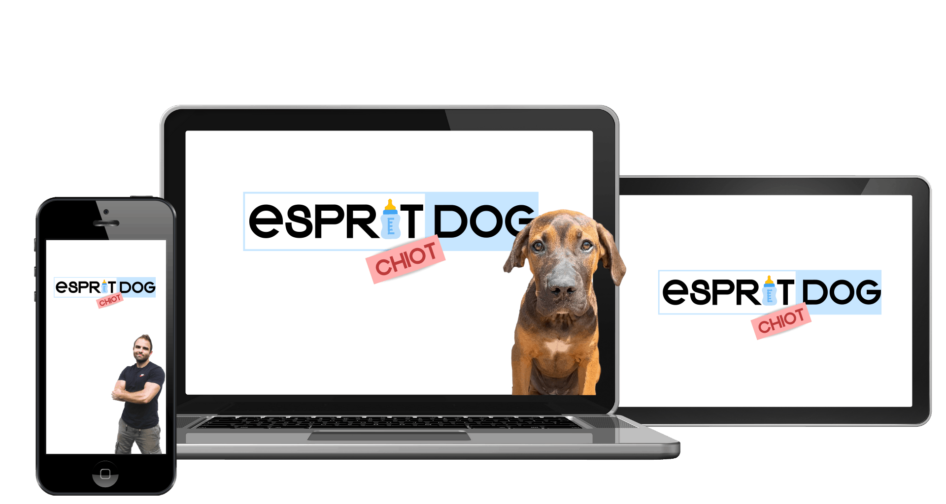Esprit Dog Chiot La Seule Methode Filmee En Temps Reel