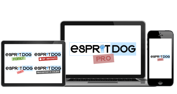 MOCK UP PRO TRANS
