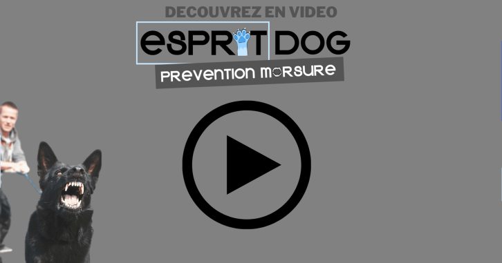 VIGNETTE VIDEO PRES MORSURE