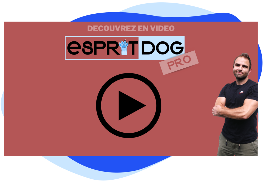 Formation Éducateur Canin Comportementaliste Esprit Dog