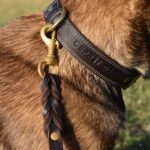 Laisse tressée Esprit Dog