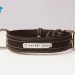 Collier Esprit Dog
