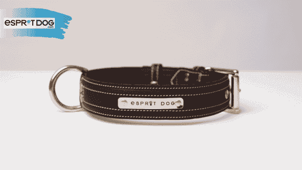 Collier Esprit Dog