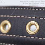 Détails des colliers EspritDog