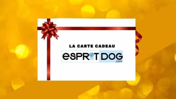 Carte cadeau Esprit Dog