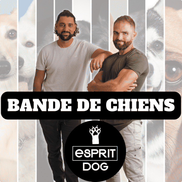 Épisode 12 - L'hyper attachement